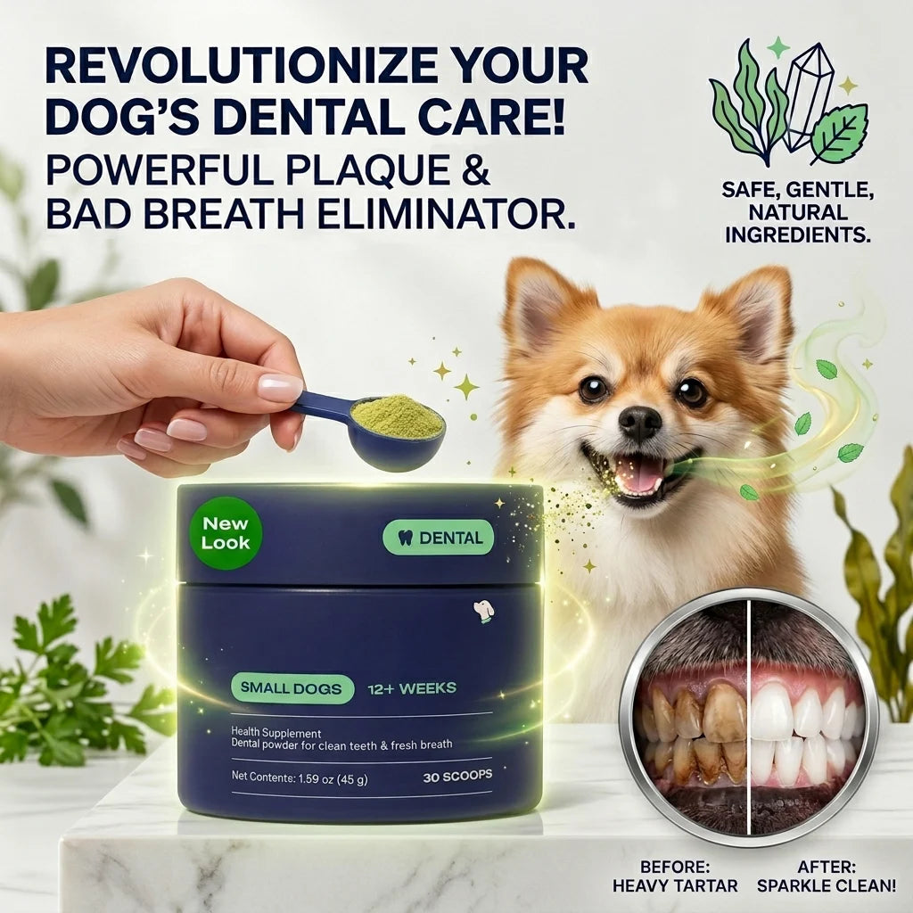 Dog Dental Powder