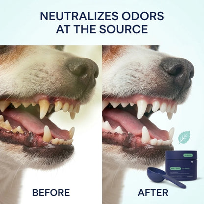 Dog Dental Powder