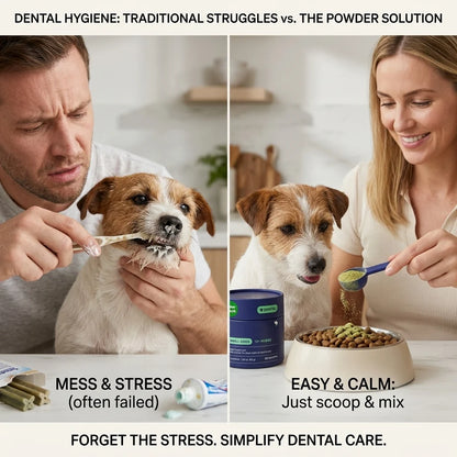 Dog Dental Powder